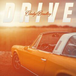 Cover of Drive