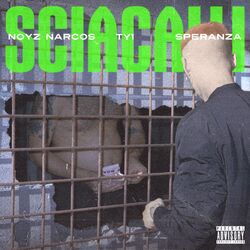 Cover of SCIACALLI