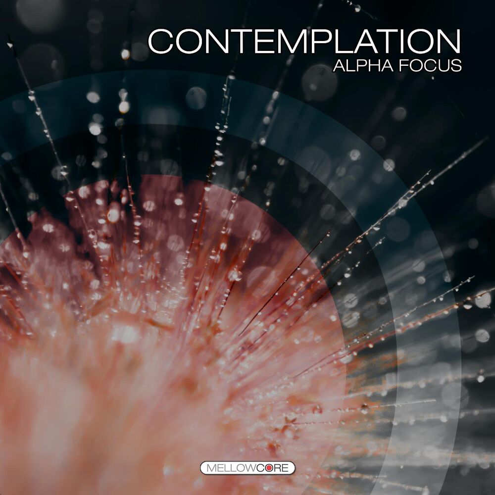 Picture of Contemplation (Alpha Focus)