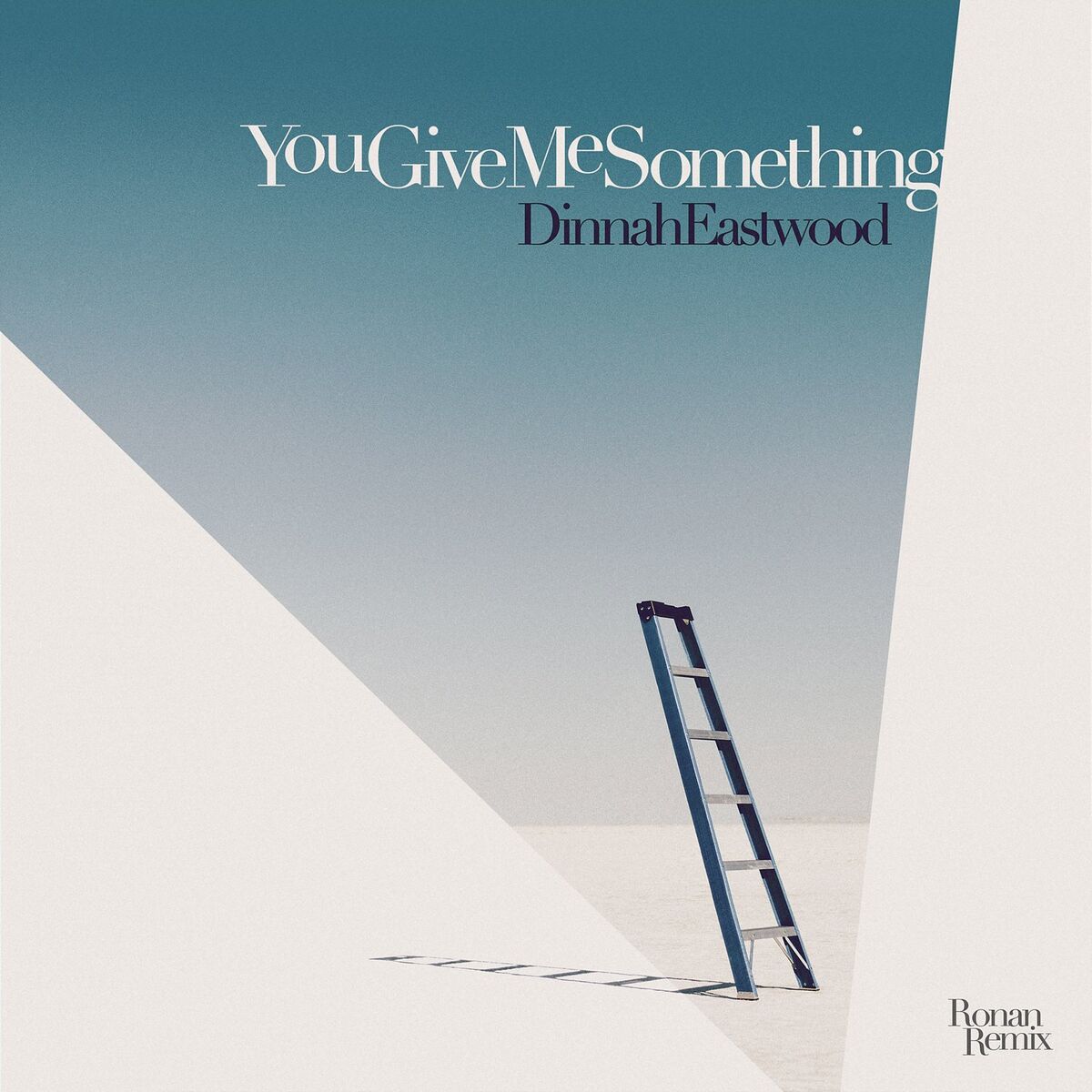 Album cover of You Give Me Something