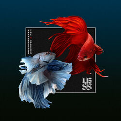 Cover of SSXUB (Shapeshifter vs The Upbeats)