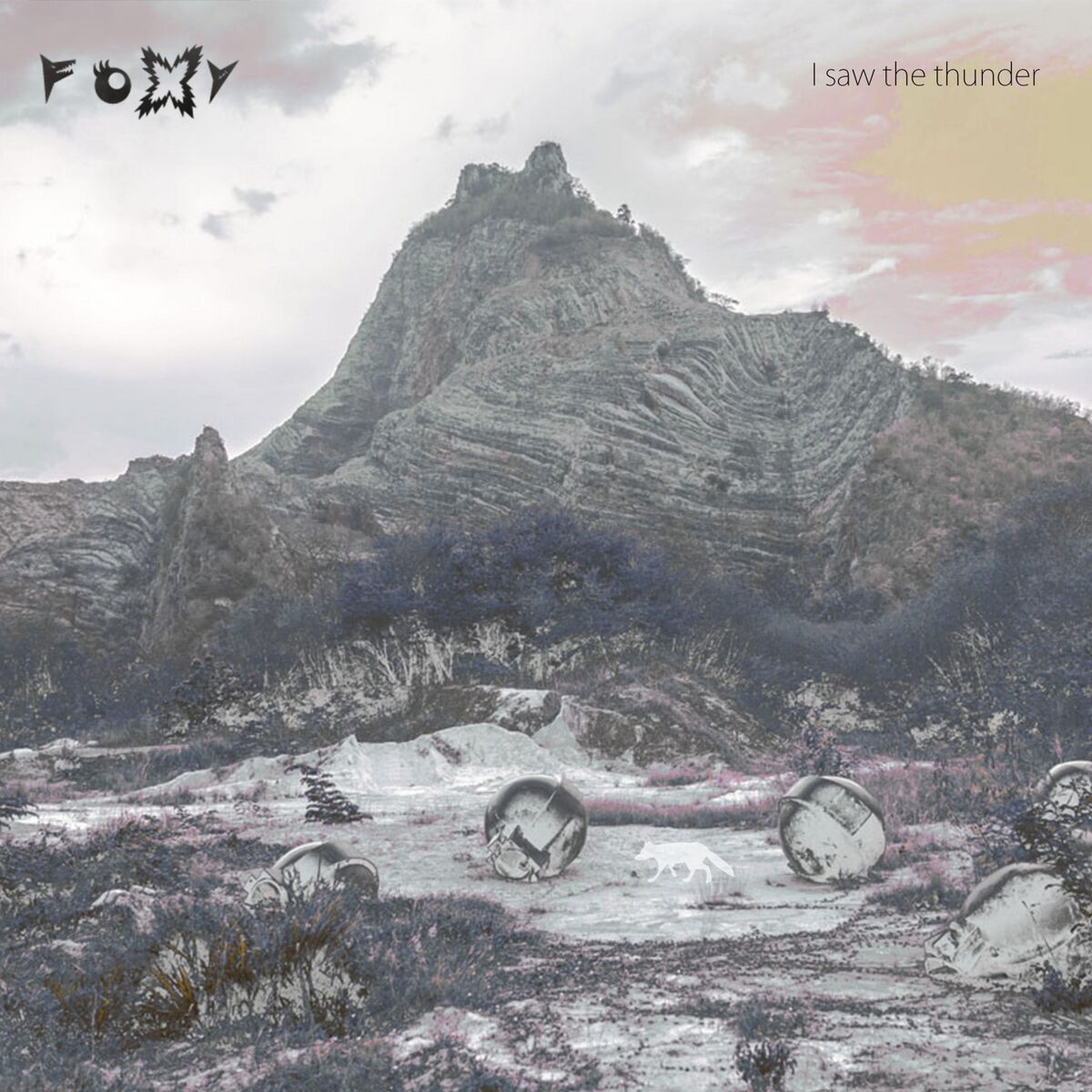Album cover of I Saw the Thunder