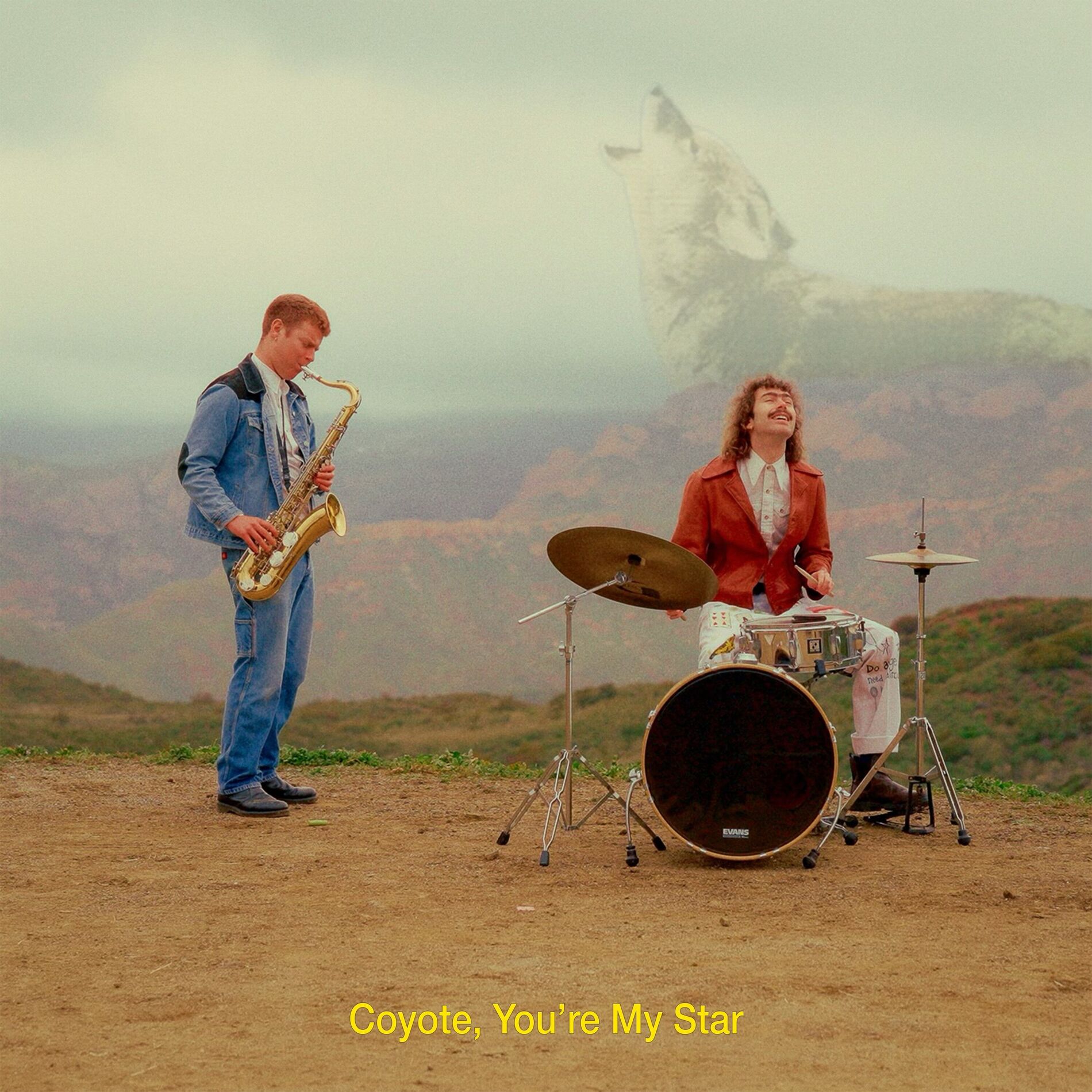 Album cover of Coyote, You're My Star