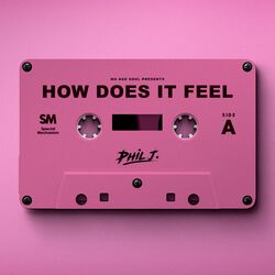 Cover of HOW DOES IT FEEL