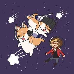 Cover of Shooting Star