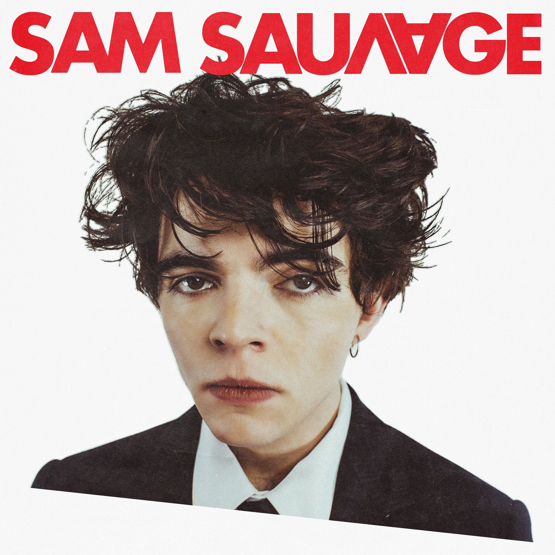 Album cover of Sam Sauvage