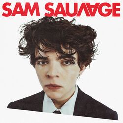 music cover
