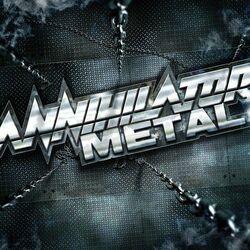 Cover of Metal