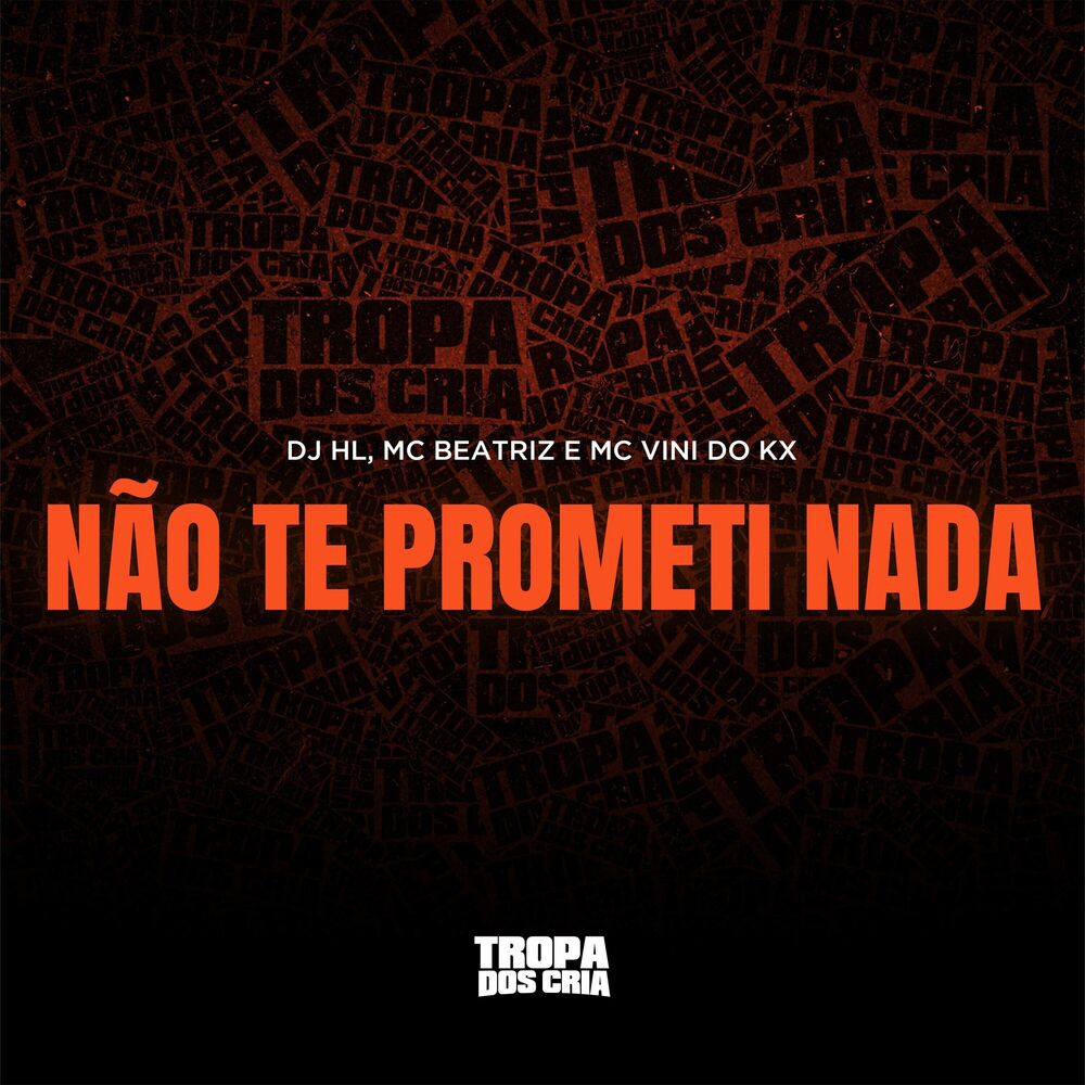 Picture of Não Te Prometi Nada