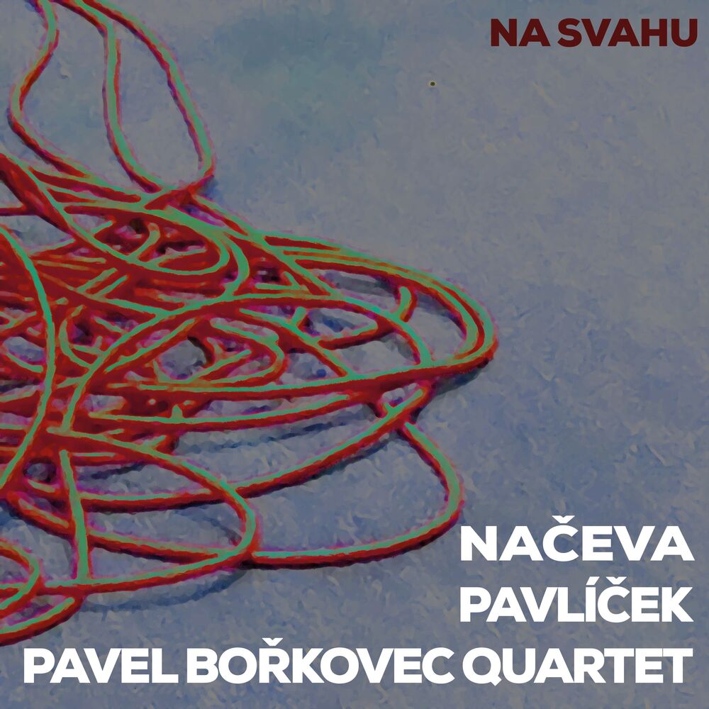 Picture of Na svahu