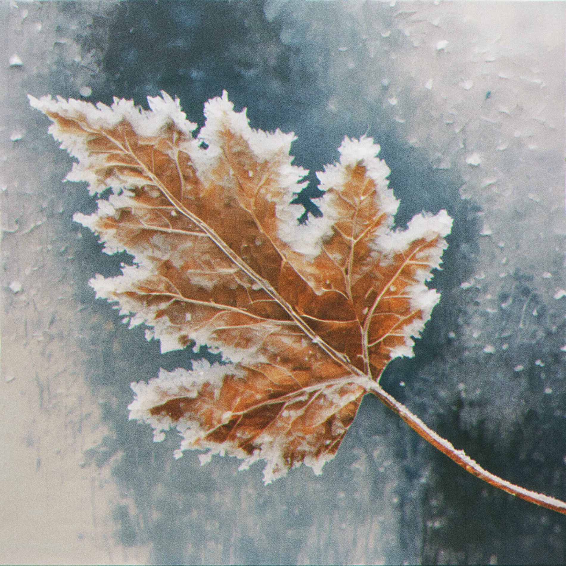 Album cover of Kuura