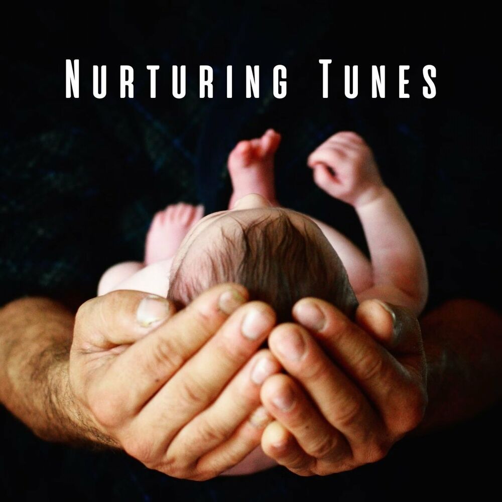 Picture of Nurturing Tunes: Charming Keys for Baby's Soul