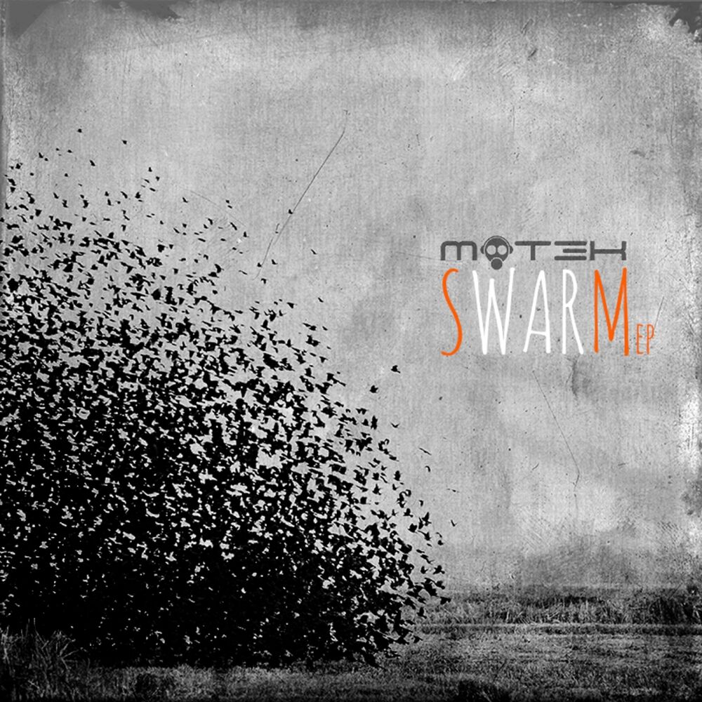 Picture of Swarm EP