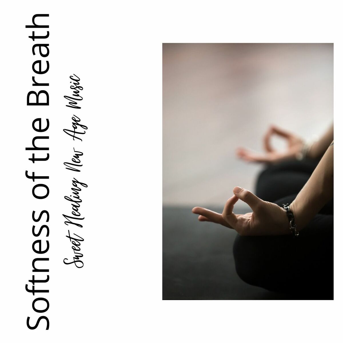 Album cover of Prana Vayu