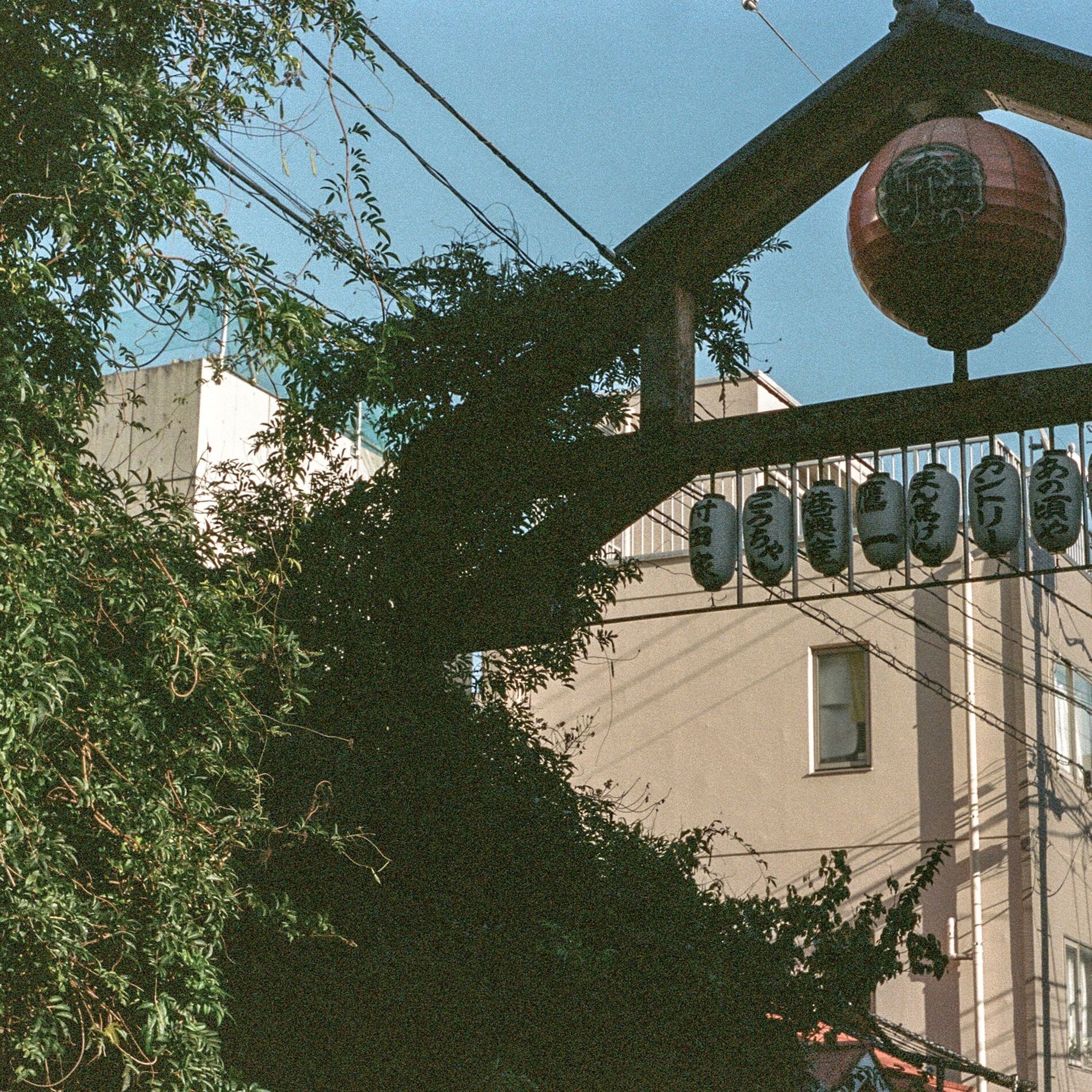 Album picture of Four Seasons