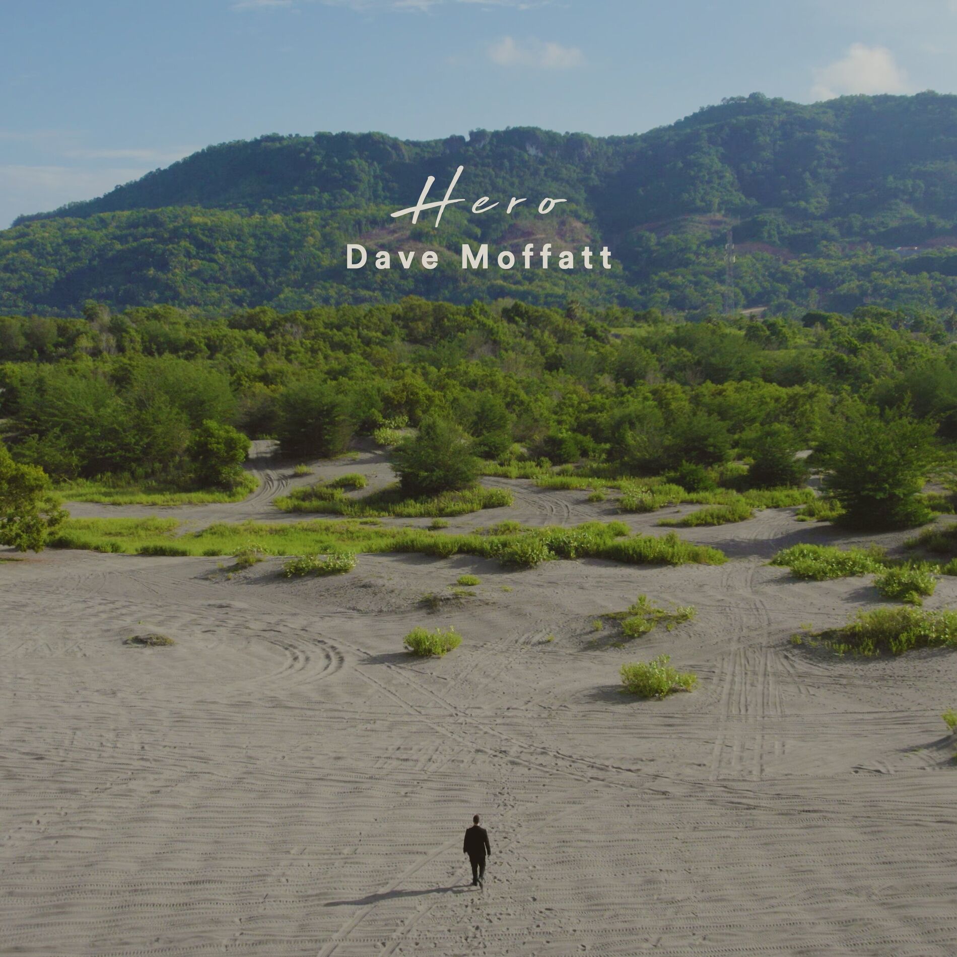 Album cover of Hero