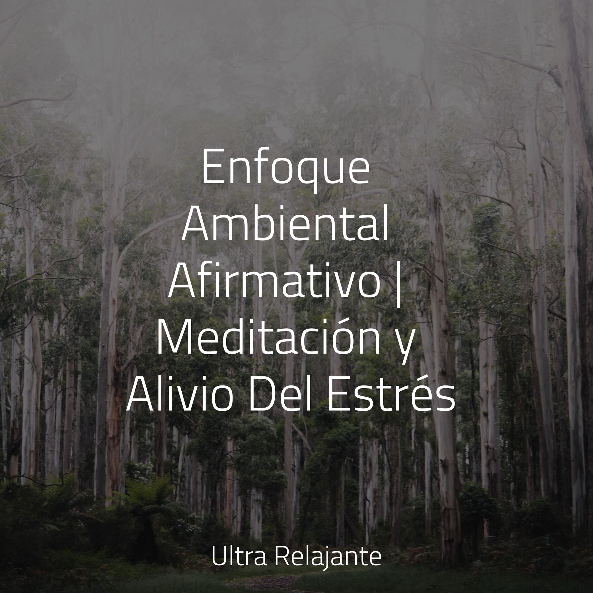 Album cover of Enfoque Ambiental Afirmativo | Meditación y Alivio Del Estrés