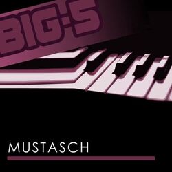 Cover of Big-5: Mustasch