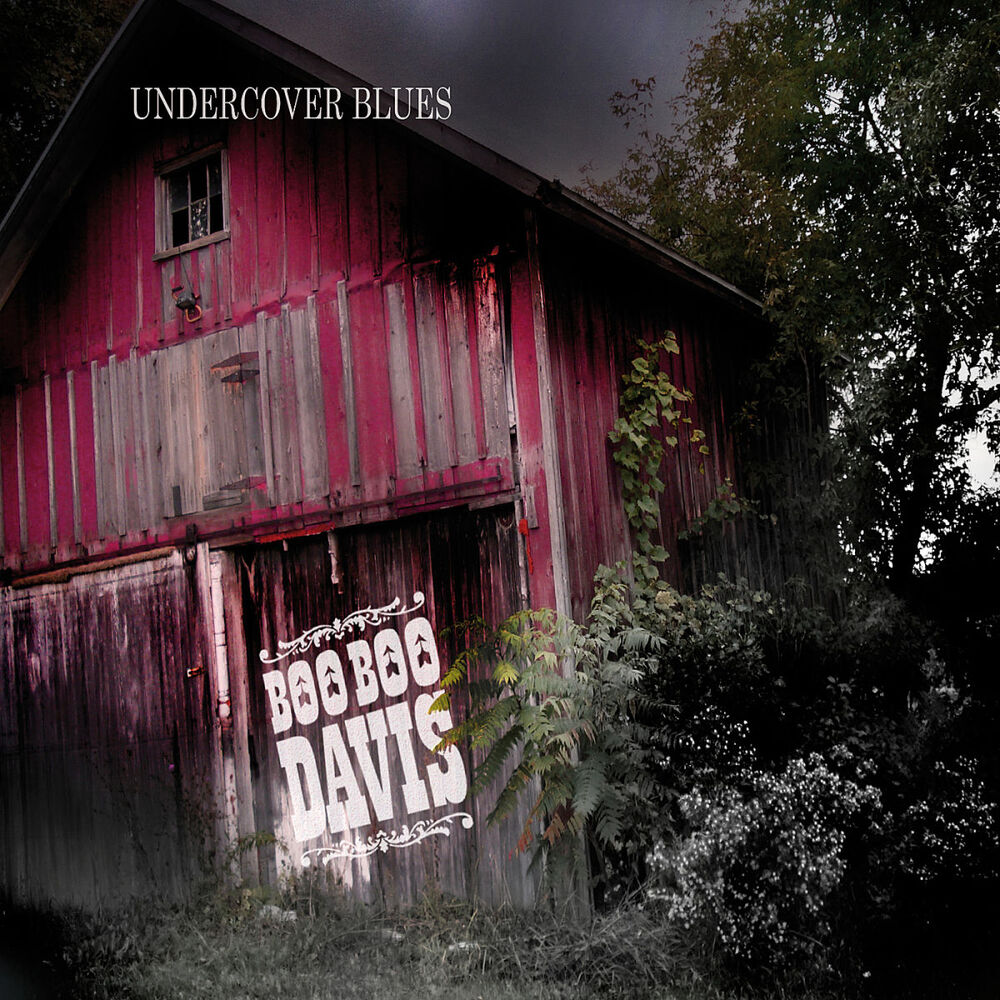 Picture of Undercover Blues