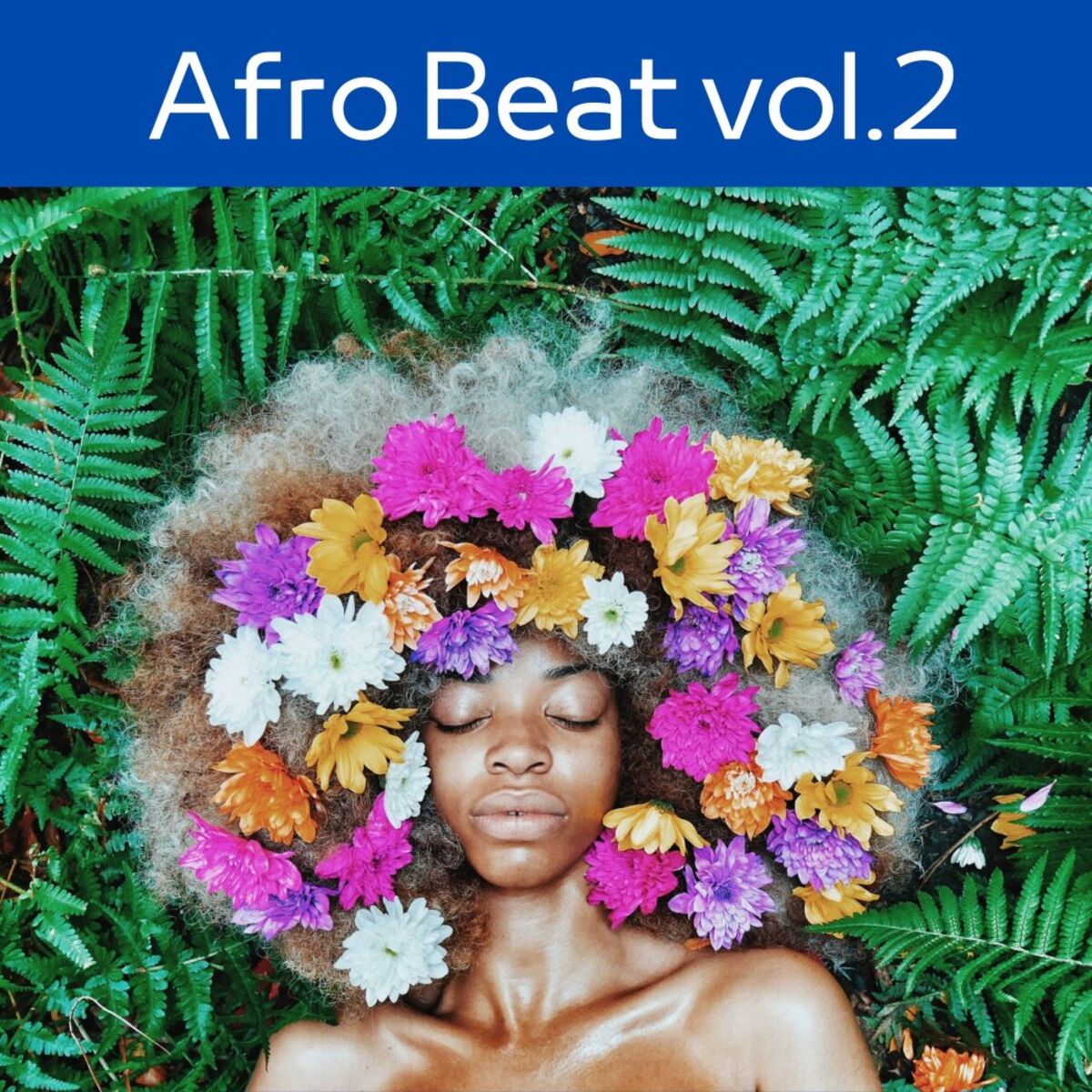 Album cover of Afro Beat, Vol.2