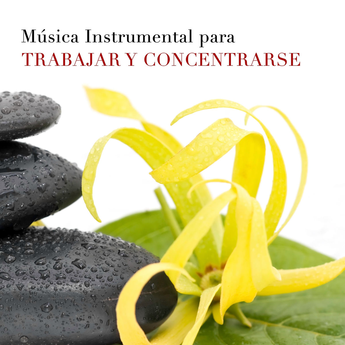 Album cover of Música para SPA