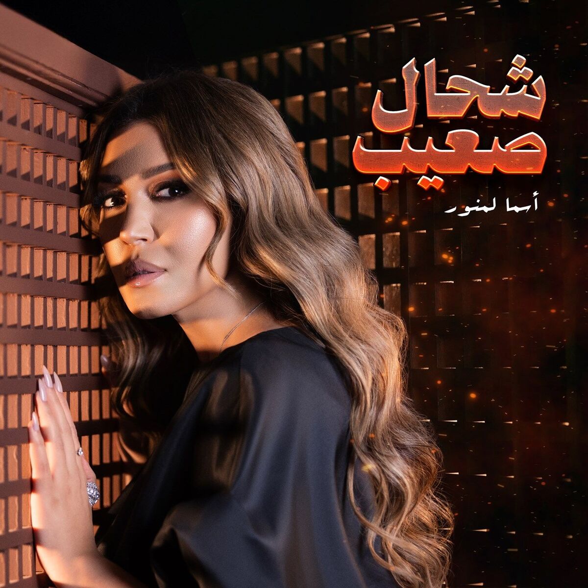 Album cover of Chehal S3ib