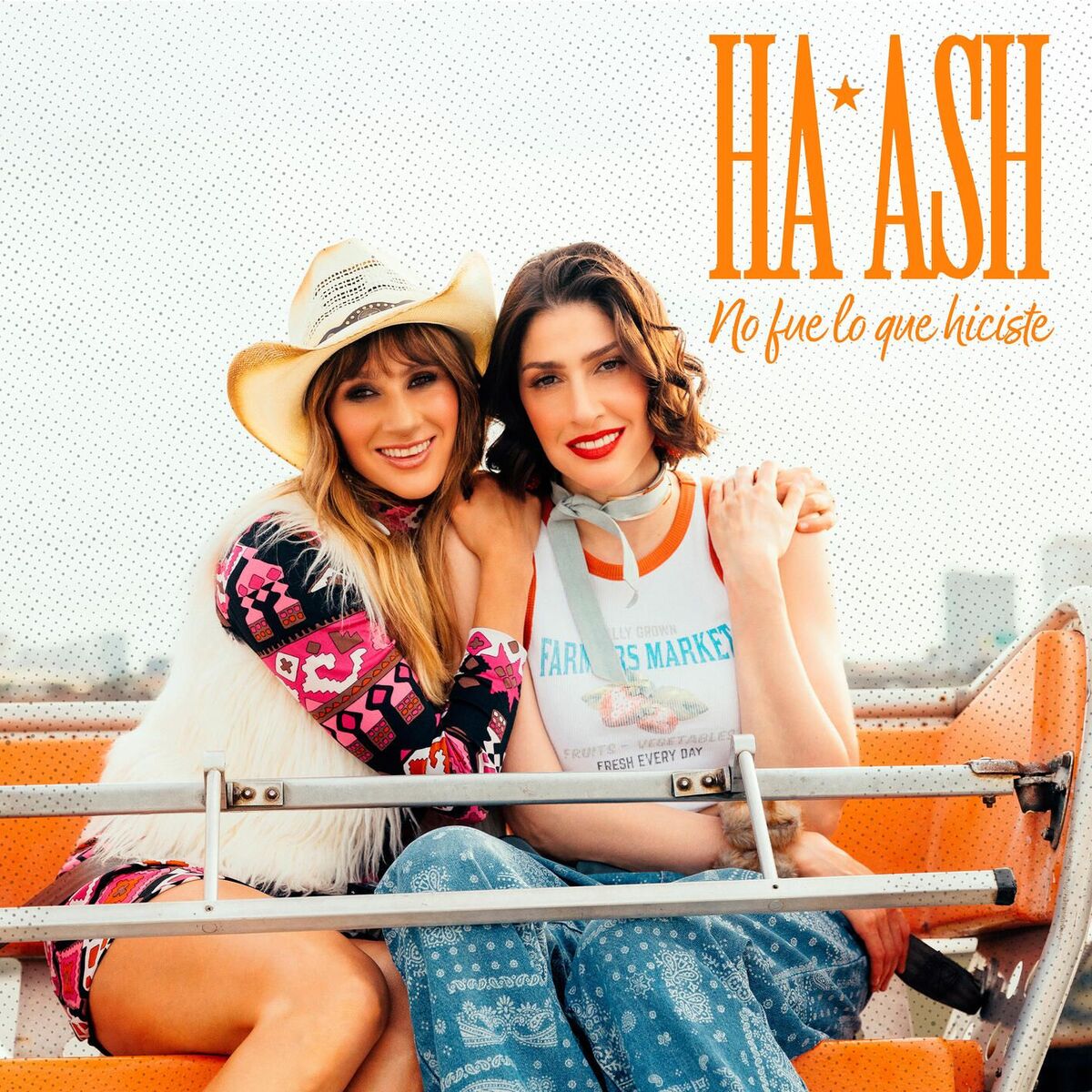 Album cover of No Fue Lo Que Hiciste