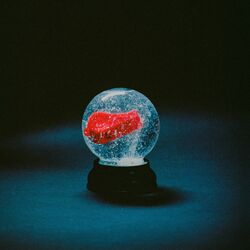 Cover of S.N.C