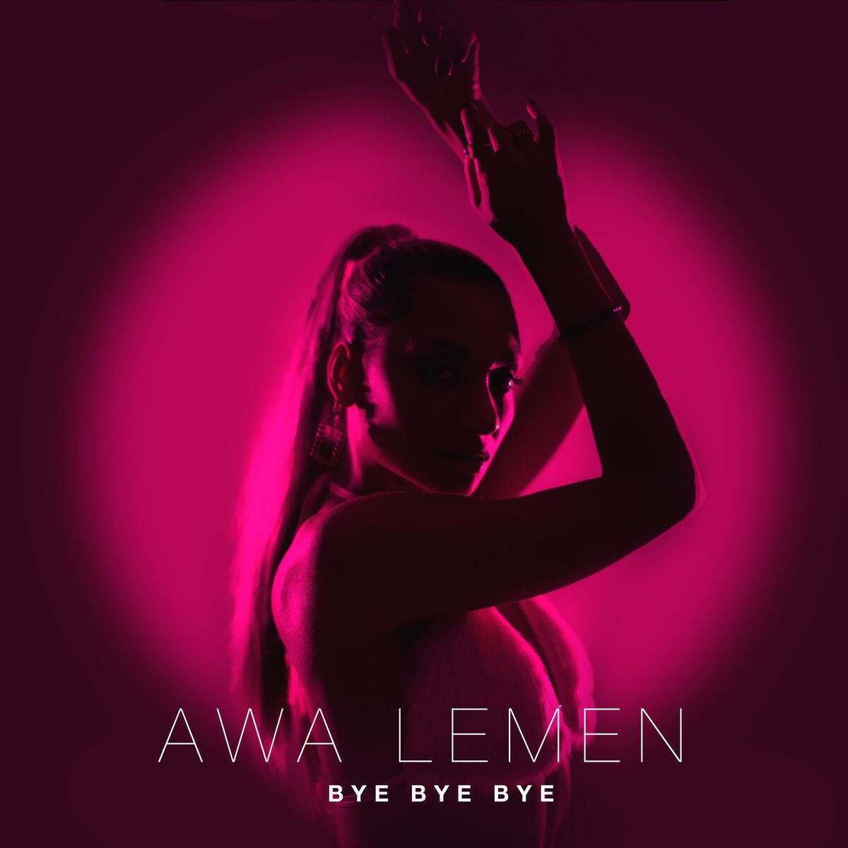 Album cover of Bye Bye Bye