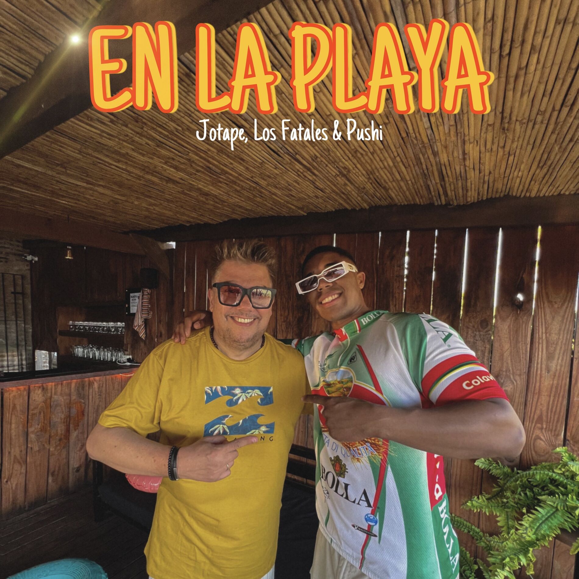 Album cover of En La Playa (feat. Pushi)