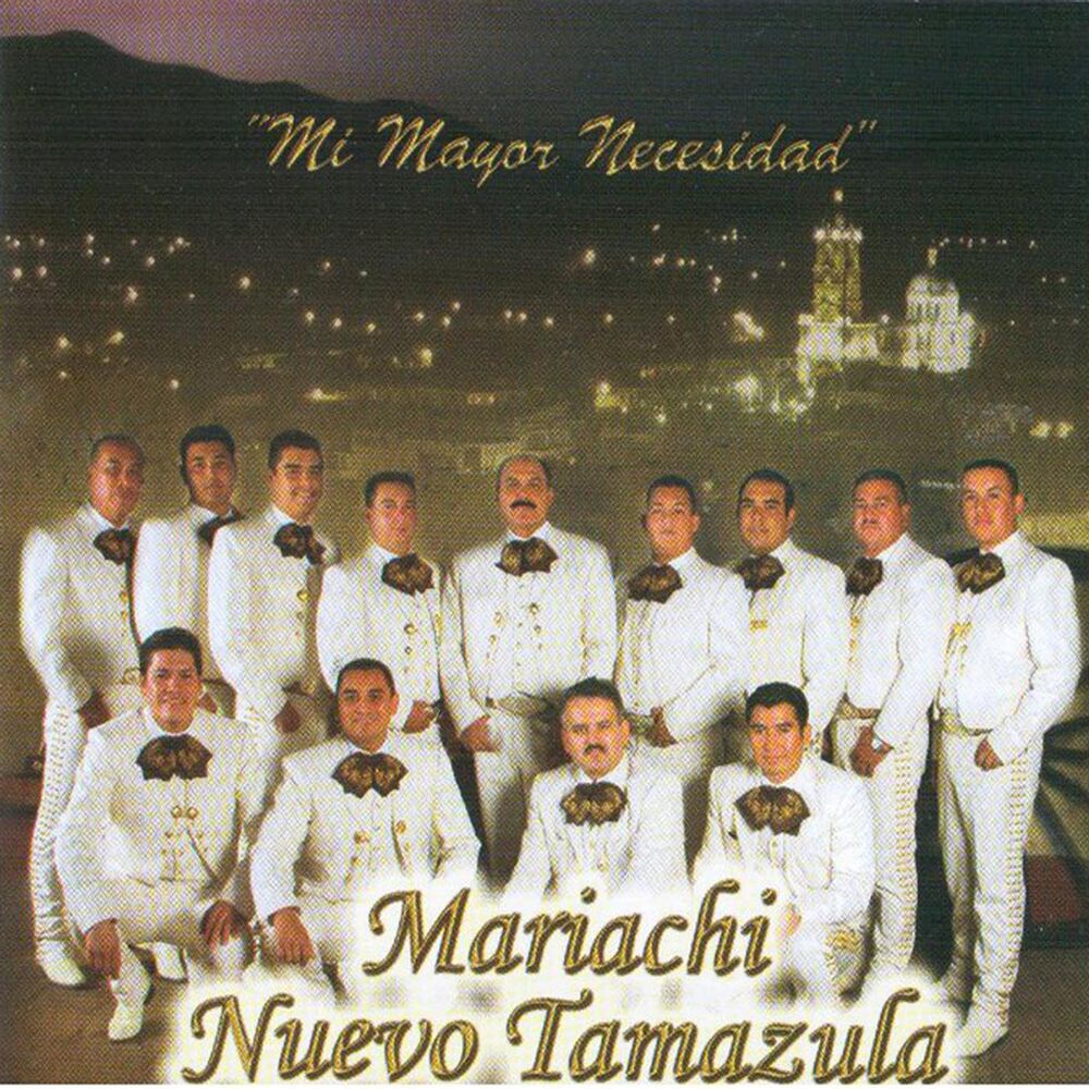 Picture of Mi Mayor Necesidad