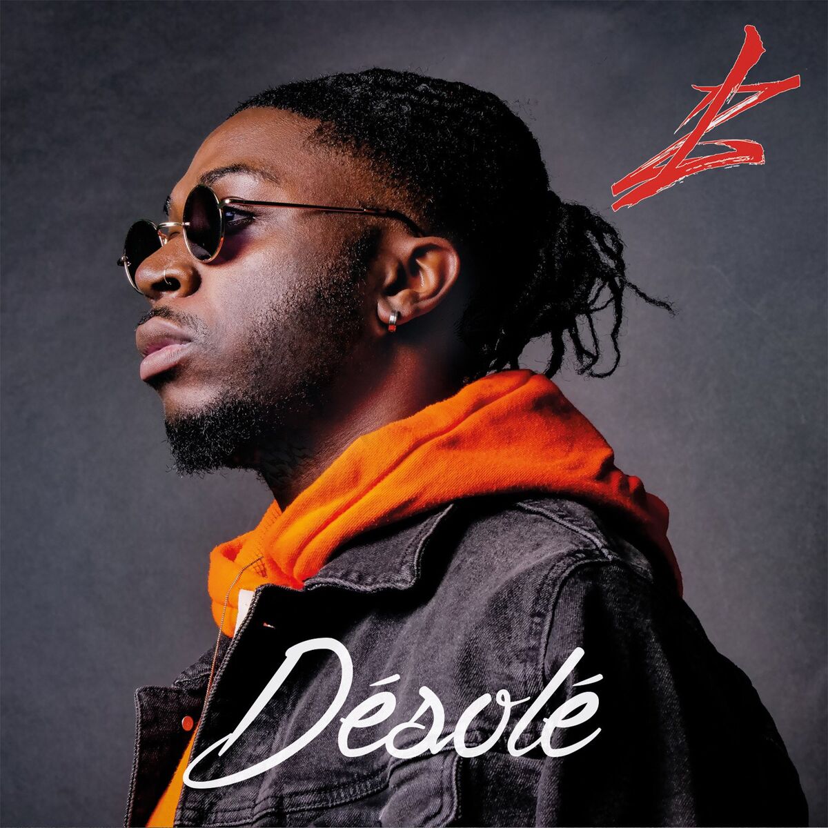 Album cover of Désolé