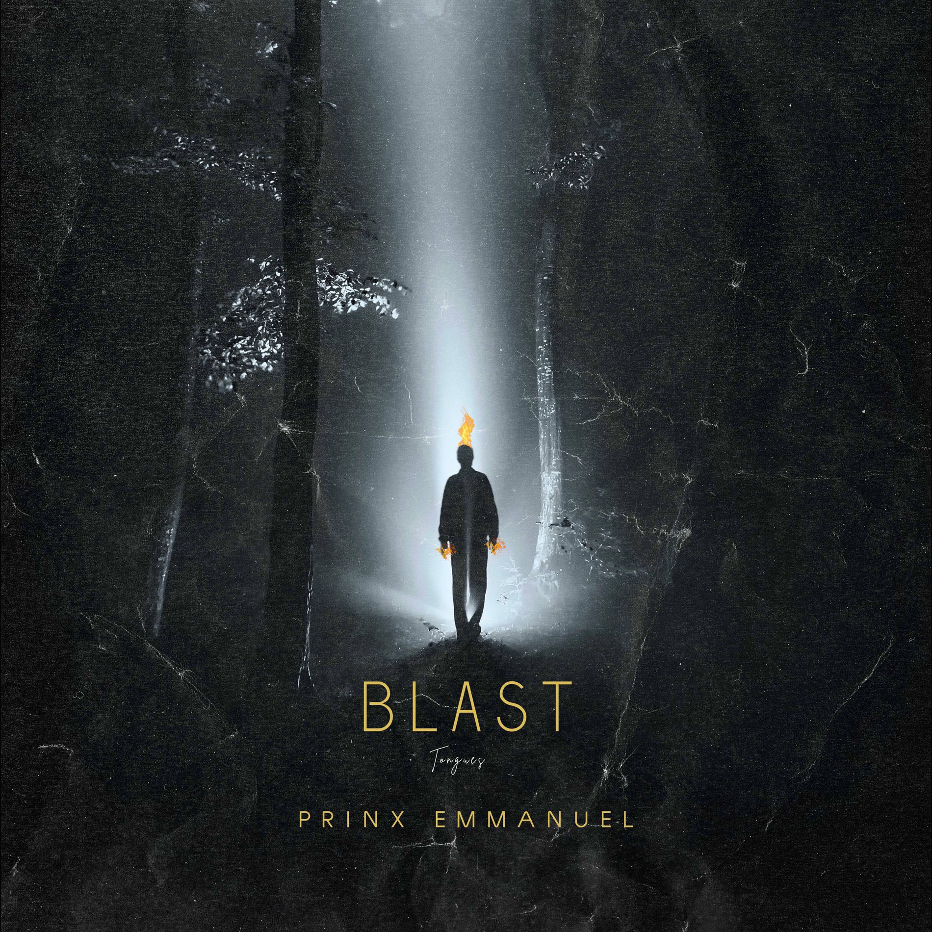Album cover of Blast (tongues)