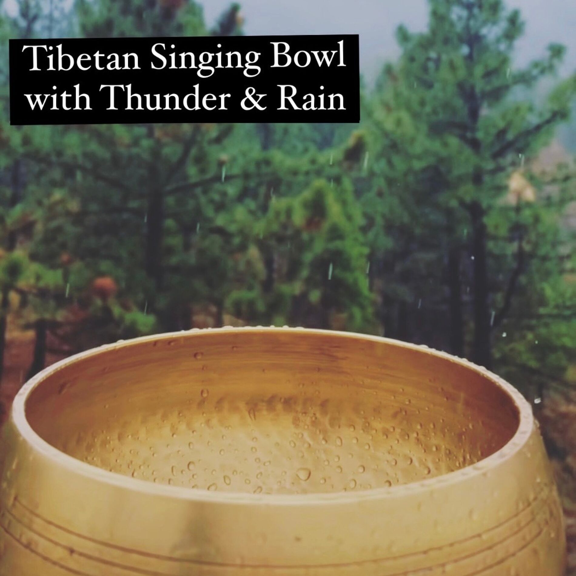Album cover of Tibetan Singing Bowl with Thunder & Rain