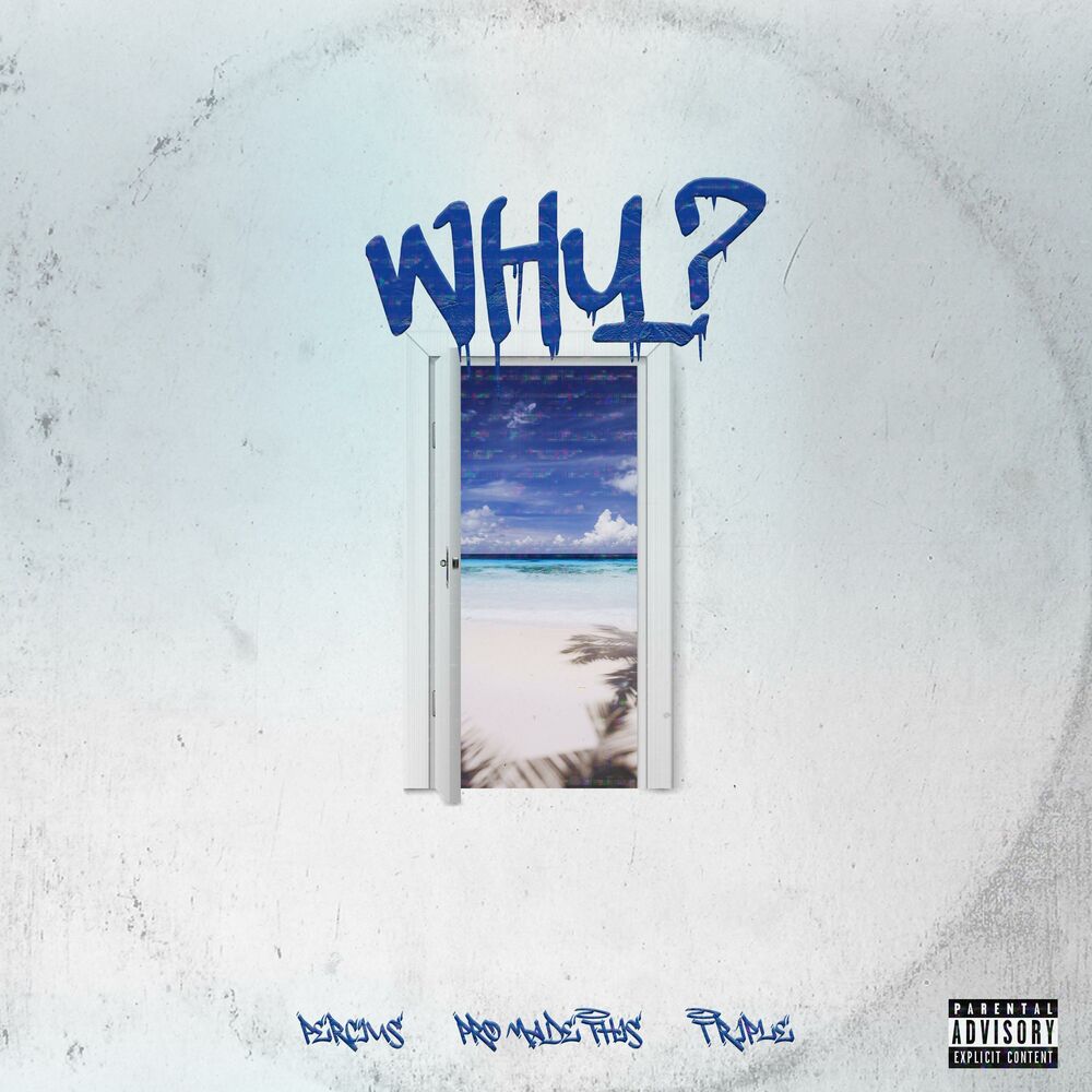 Picture of WHY?