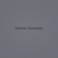 Cover of Tristesse Télescopique