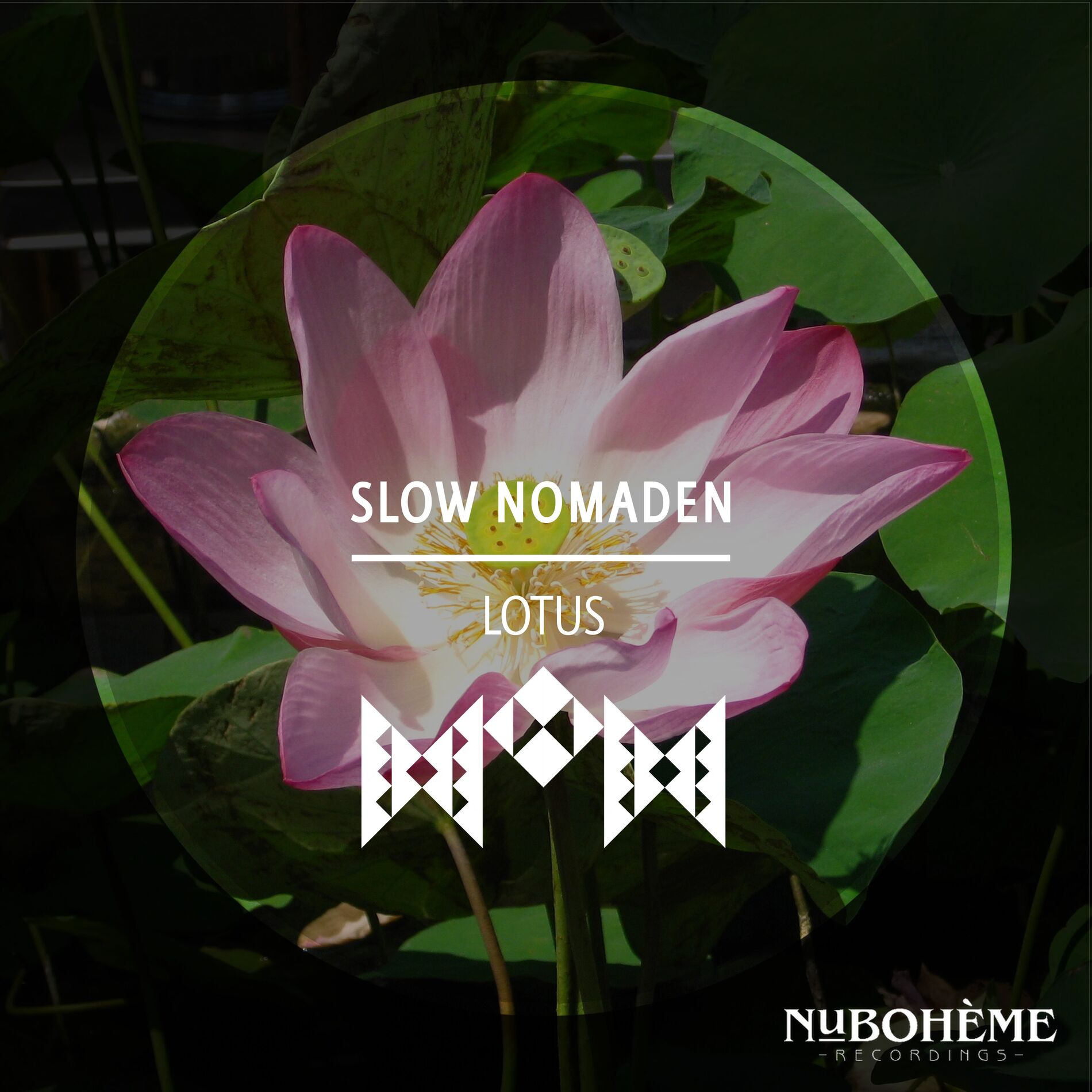 Album cover of Lotus