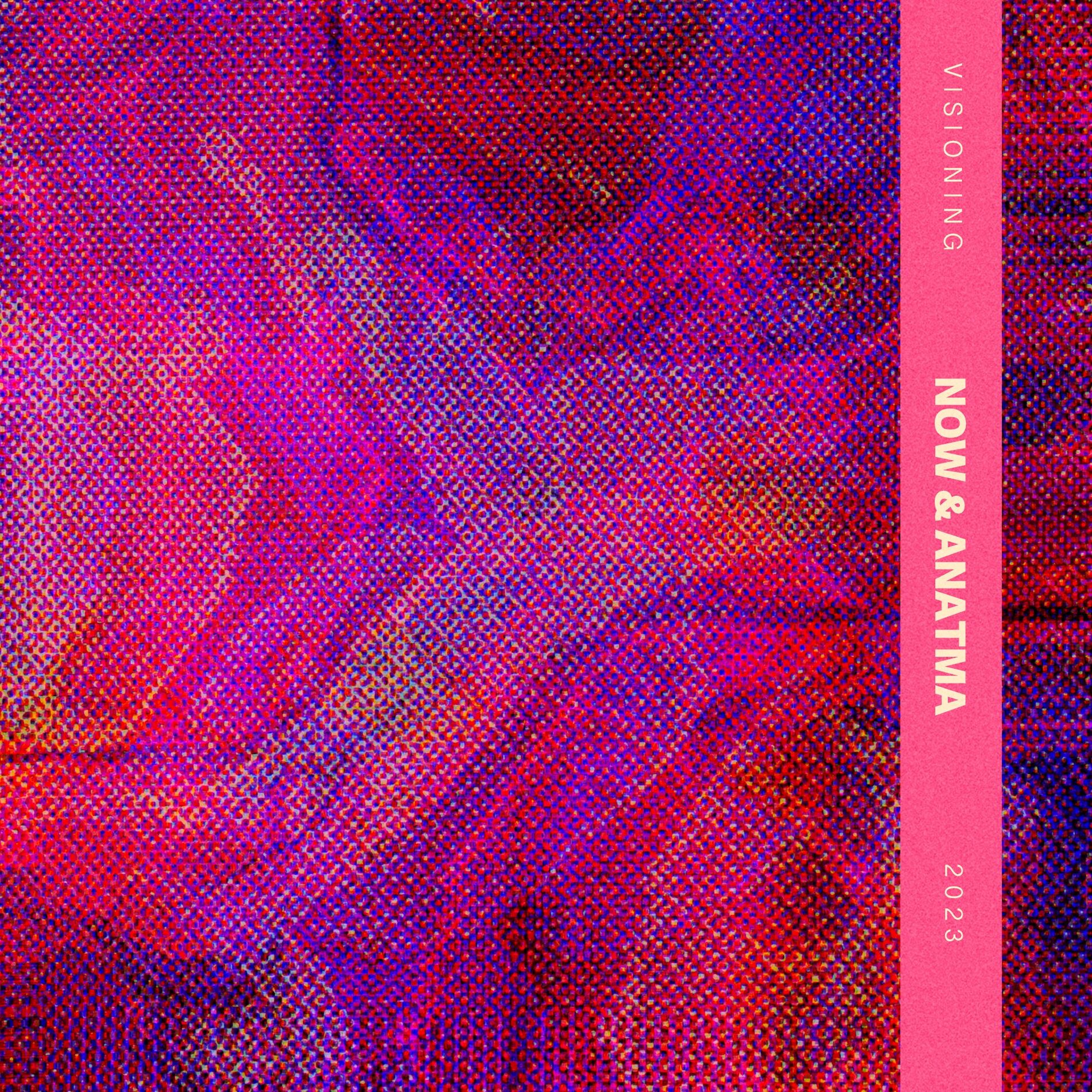 Album cover of Visioning