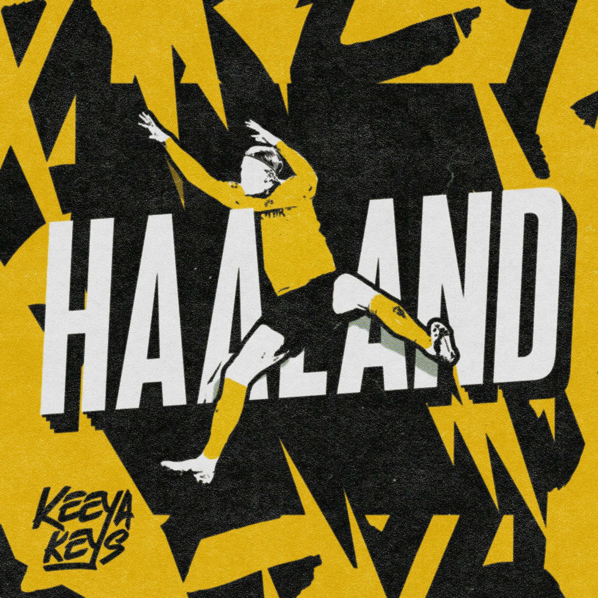 Album cover of Haaland