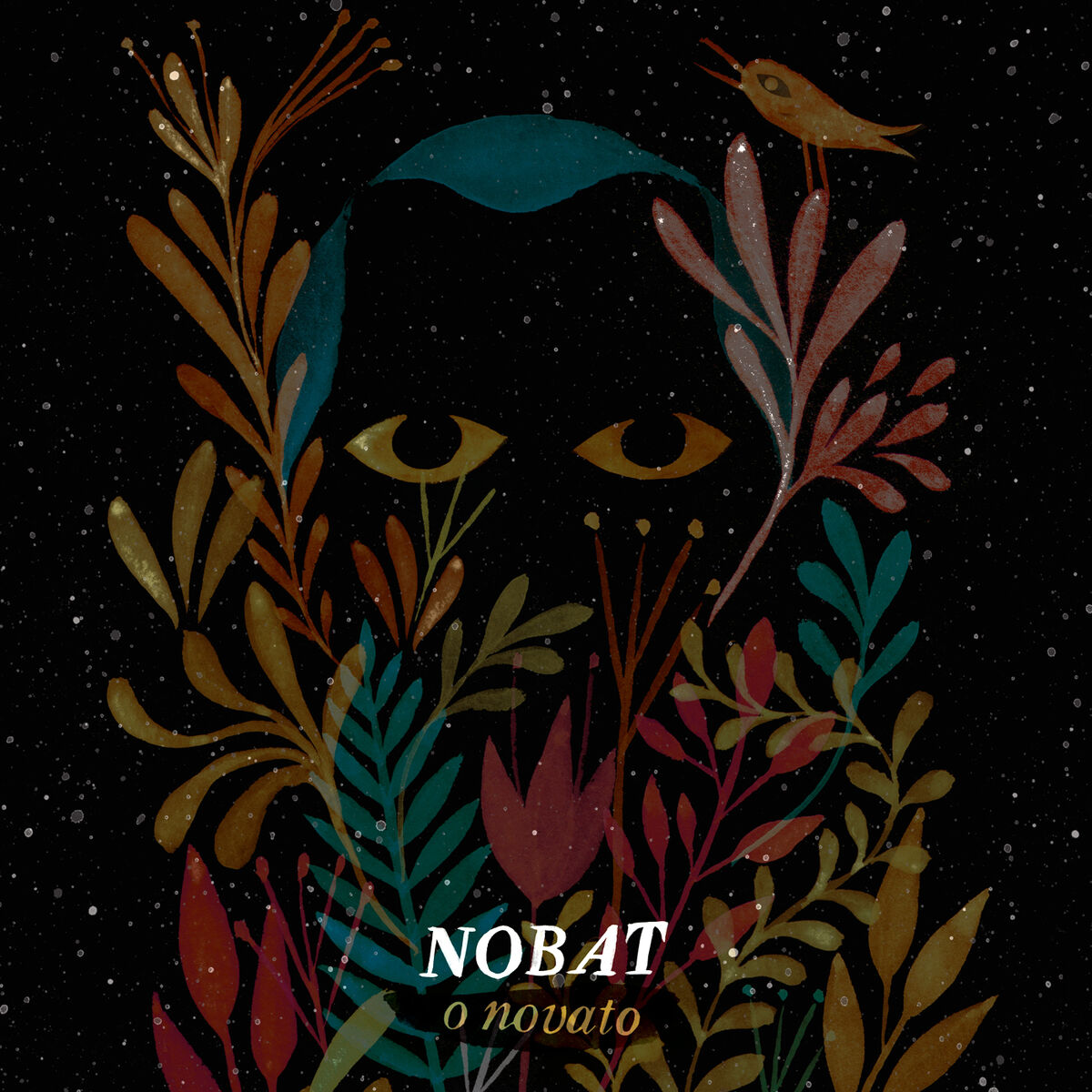 Album cover of O Novato