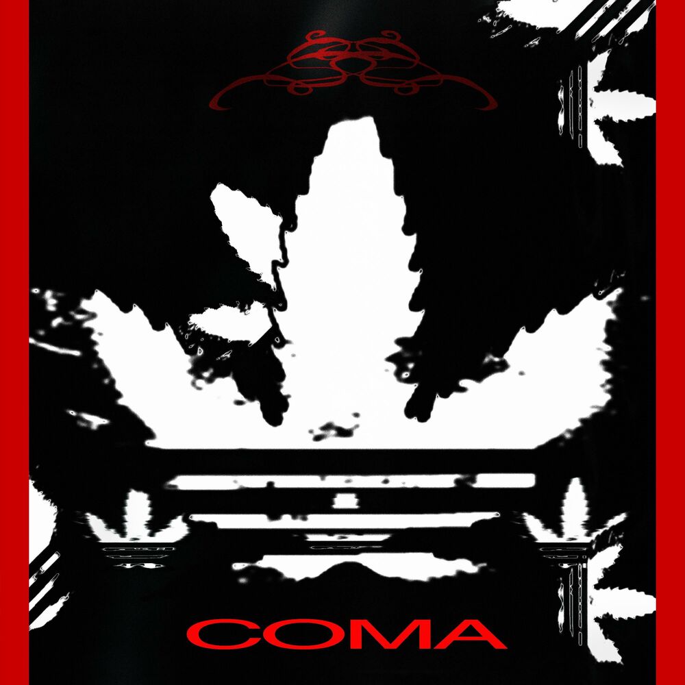 Picture of Coma