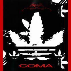 Cover of Coma