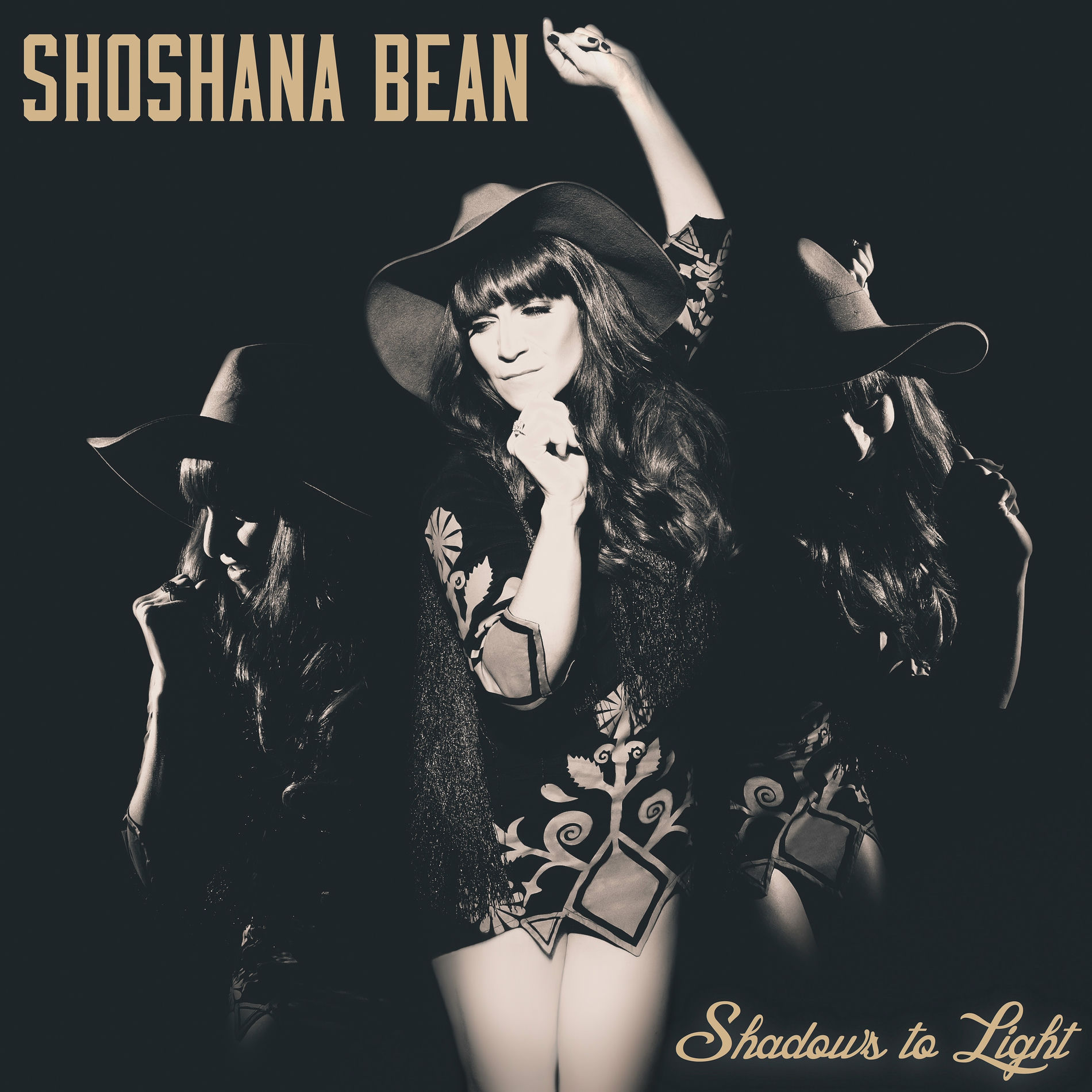 Album cover of Shadows to Light