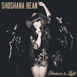 Cover of Shadows to Light