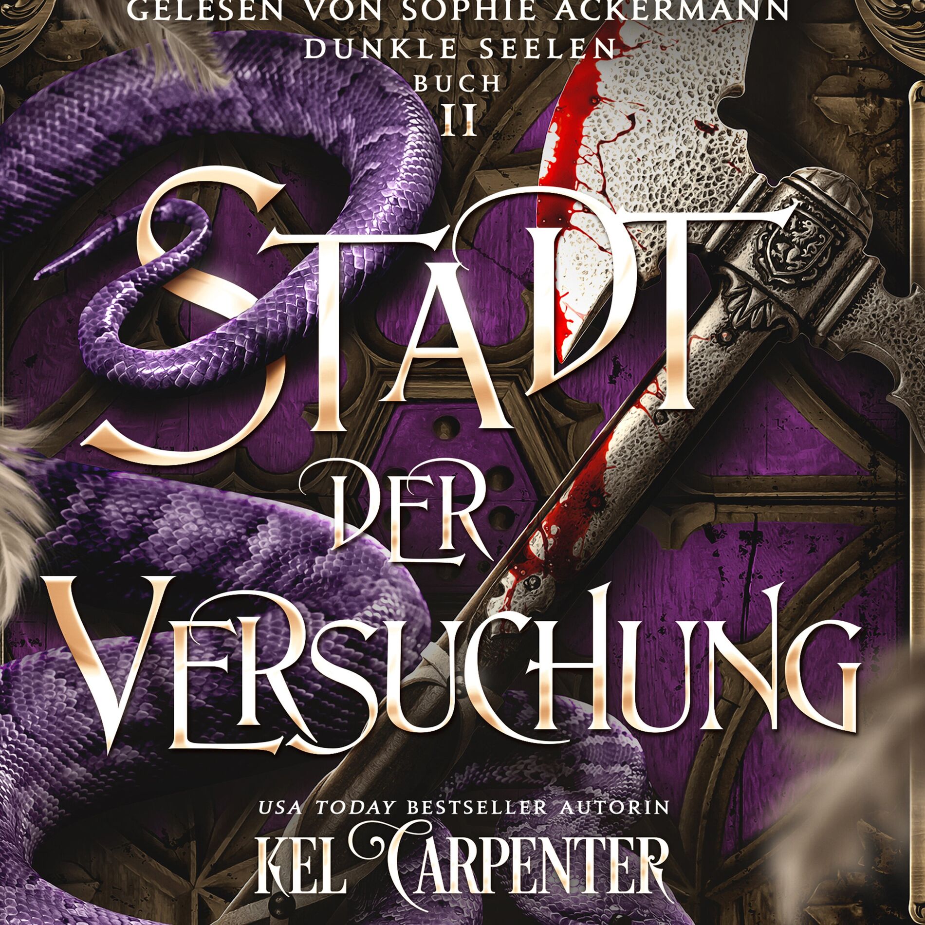 Album cover of Dunkle Seelen 2 - Dark Fantasy Hörbuch
