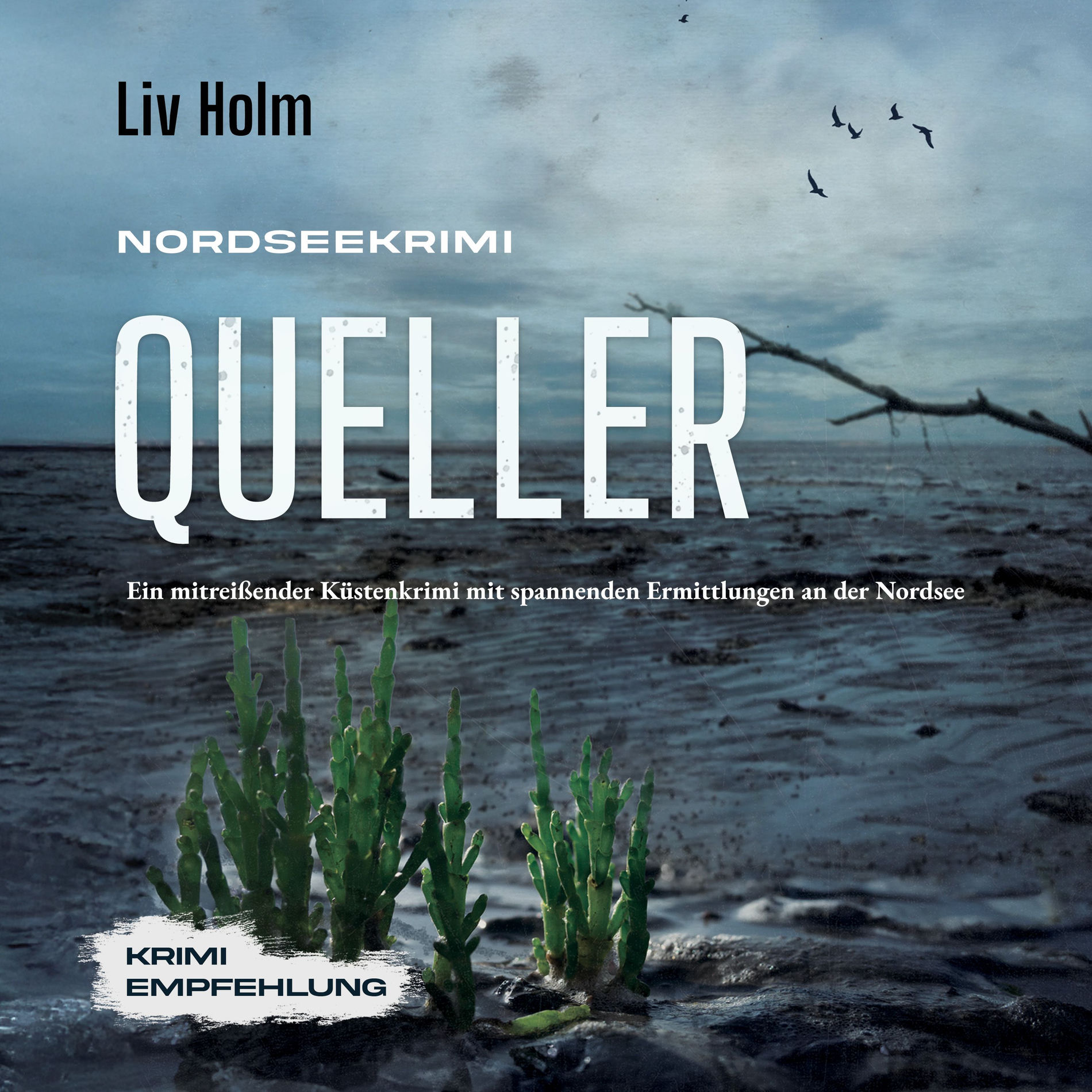 Album cover of Kapitel 01 - Nordseekrimi Queller: Ein mitreißender Küstenkrimi mit spannenden Ermittlungen an der Nordsee - Krimi Empfehlung