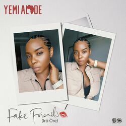 Cover of Fake Friends (Iró Òre)