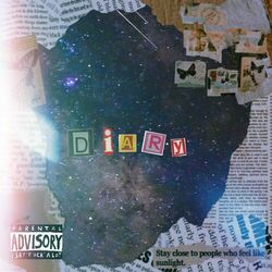 Cover of Diary