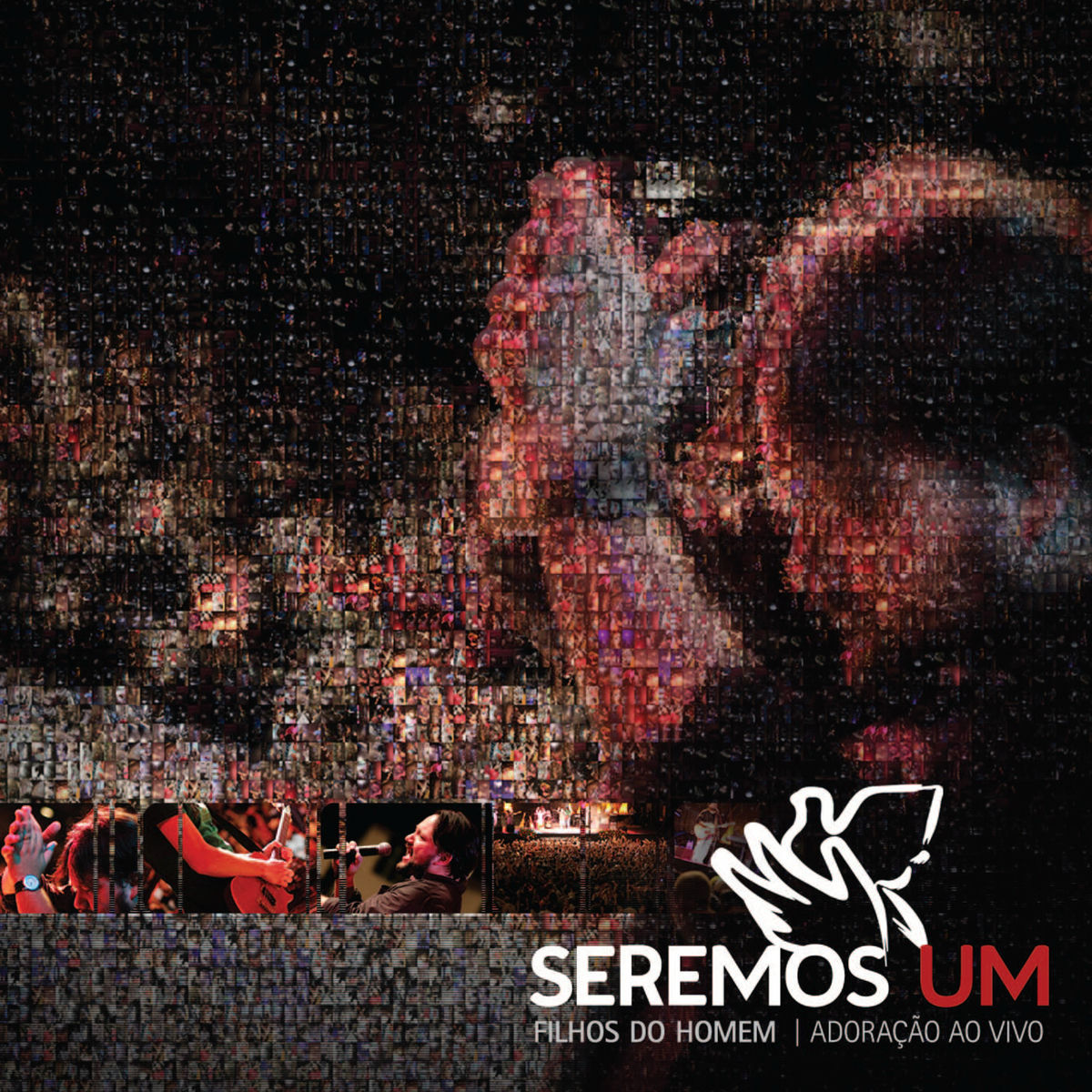 Album cover of Seremos Um