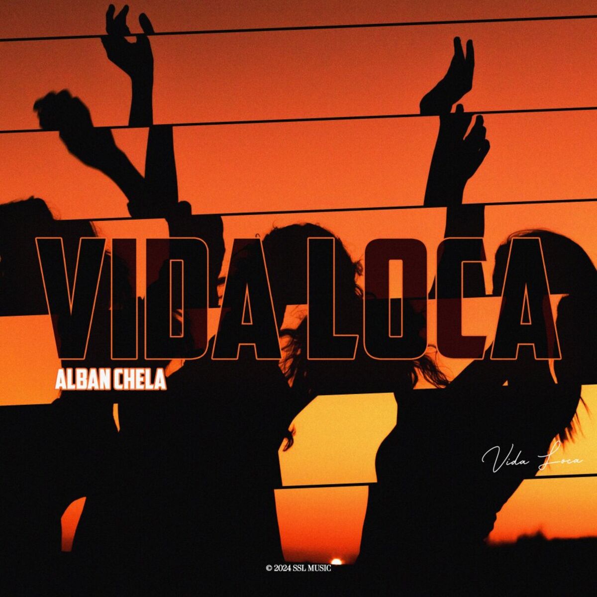 Album cover of Vida Loca